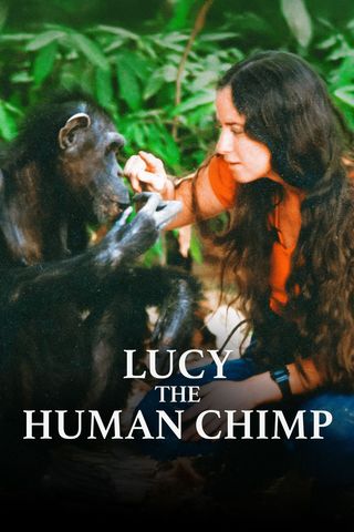Lucy, the Human Chimp