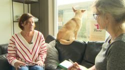 Huisdier overleden? Een huisdierenrouwconsulent kan je helpen