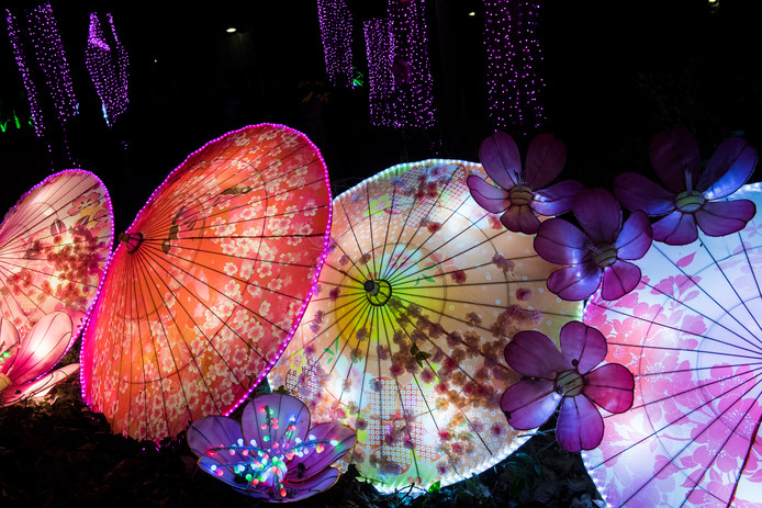 China Light Festival In Ouwehands Dierenpark Is Alsof Je In Een