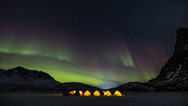 Operation Arctic Cure