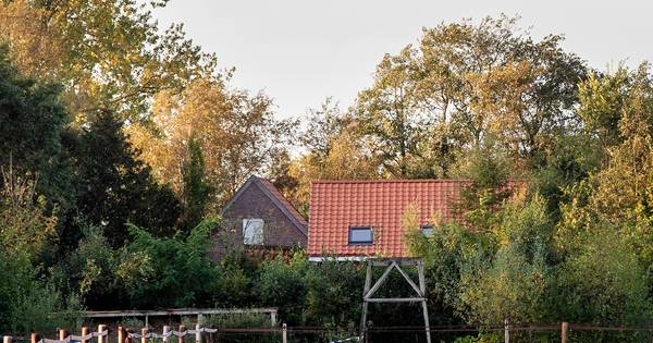 Hoogleraar 'einde der tijden' over Ruinerwold-onderzoek: 'Recherche zat met handen in haar' - De Gel