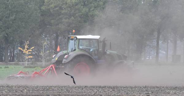 Brabantse natuur smacht naar regen, heel veel regen