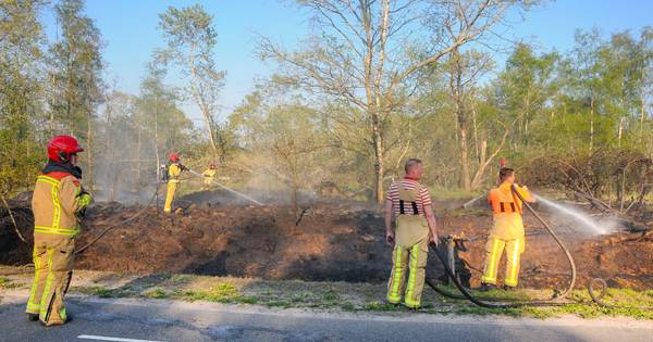 Natuurbrand langs weg in Budel-Dorplein snel onder controle - Eindhovens Dagblad