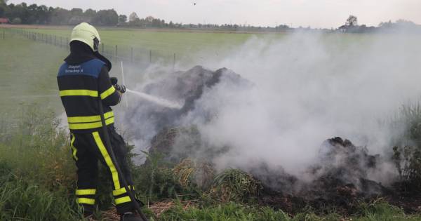 Berg met gras en riet vliegt in brand in Wijk en Aalburg - BD.nl