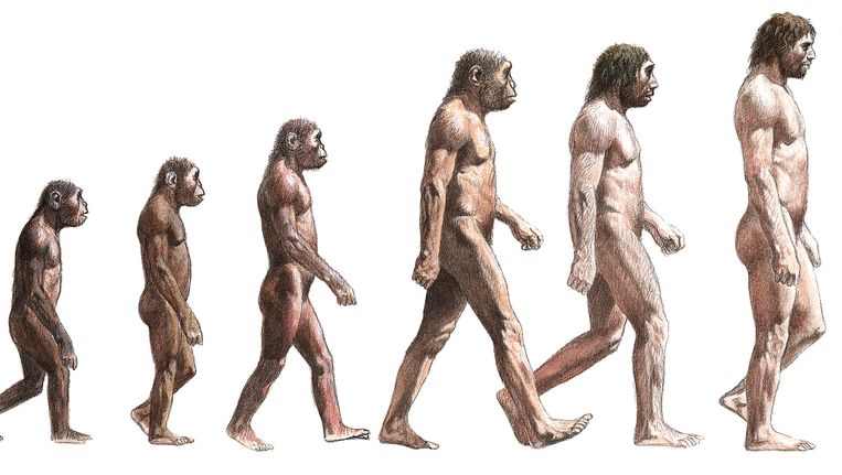 Afbeeldingsresultaat voor homosapiens