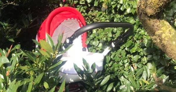 Kinderwagen gevonden bij dorpshuis in Nederasselt; baby en begeleider zijn spoorloos - De Gelderland