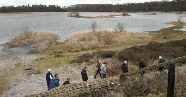 Landschapskunst Groot-en Kleinmeer moet Vessem en Wintelre verbinden - Eindhovens Dagblad