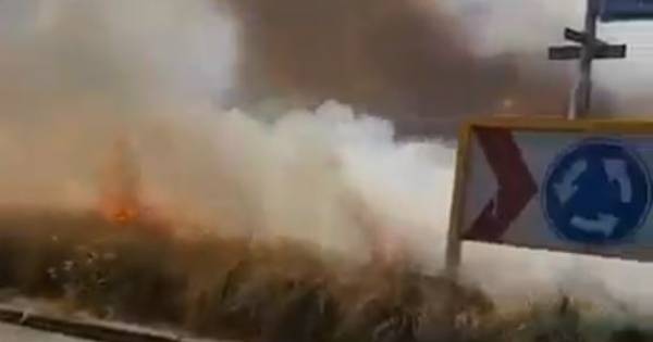 Felle brand legt deel rotonde in De Rips in de as