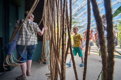 Arnhem-Nijmegen trekt 1,7 miljoen toeristen, maar de regio mist een groot attractiepark