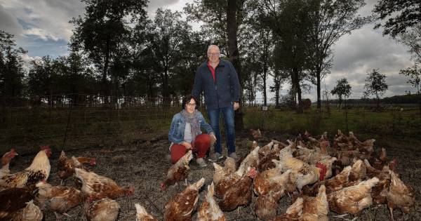 'We hebben de hop gezien en gehoord': voedselbos Spoordonk blijkt goed voor de natuur - Eindhovens D