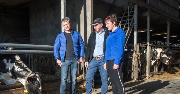 'Ons vak is zo divers, geen dag is hetzelfde' - BN DeStem