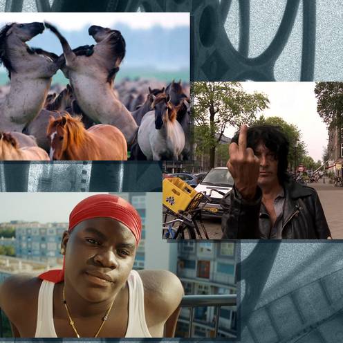 De beste Nederlandse documentaires (aller tijden)