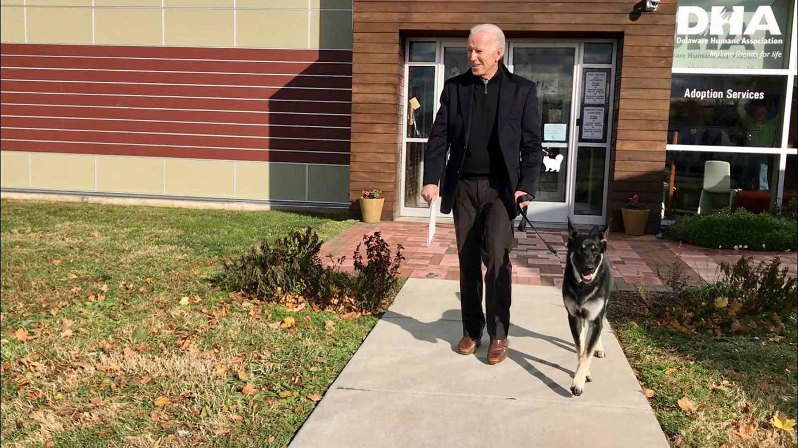 Biden verzwikt enkel tijdens spelen met hond | Foto | hln.be