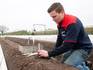 Nout Tielemans steekt de eerste asperges op het veld in Dorst.