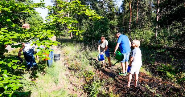 Zeker vier natuurbrandjes bij elkaar, omwonenden helpen brandweer met blussen.
