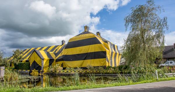 Woning in Vinkeveen ingepakt om ongedierte te bestrijden - AD.nl