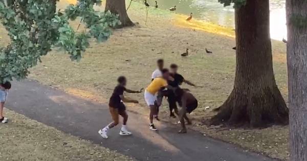 Steekpartij Apeldoorn gefilmd: 25-jarige Nijmegenaar ernstig gewond .