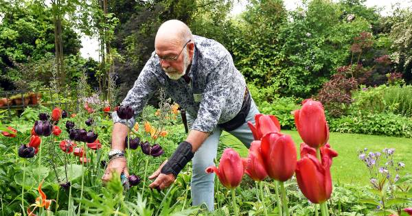 Neder-Betuwe trekt samen op met inwoners om buurt te verfraaien