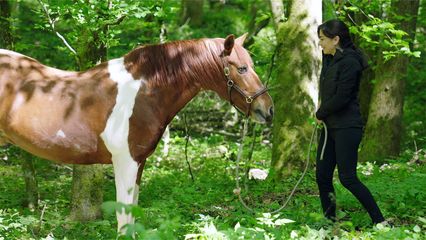 Aflevering 227