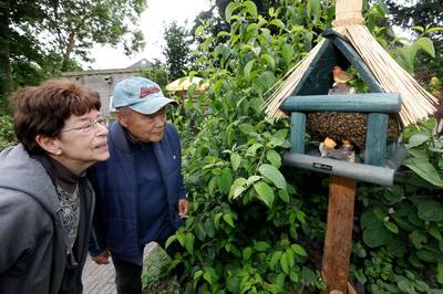 Reizend Slijk-Ewijks bijenvolk nestelt zich in Valburgs vogelhuisje