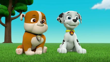 8. Pups redden de Boekenbus & Pups redden Koppige Humdinger
