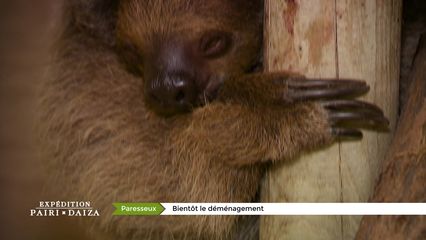 9. Déménagement paresseux