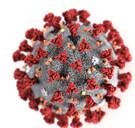 Ook u kunt het coronavirus krijgen. Wen er alvast maar aan