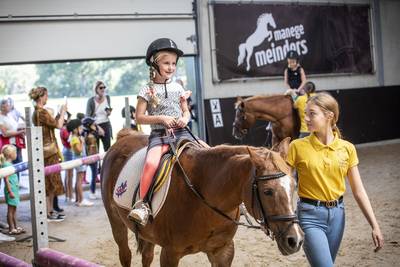 Eerder naar rijles in Tilligte om pony te poetsen