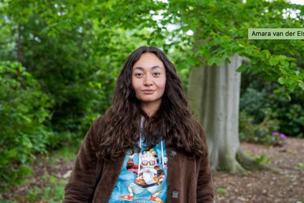 De verwondering zomerdromers