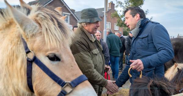 Paardenmarkt: mooier dan alle feestdagen bij elkaar | Bommelerwaard - BD.nl