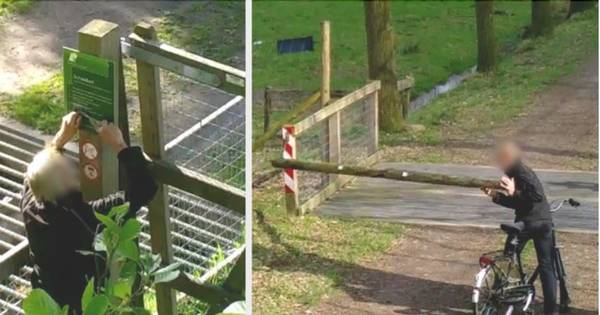 Verdachte van vernielingen in natuurgebied De Scheeken bij Liempde meldt zich bij politie - BD.nl