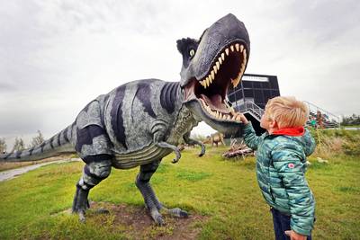 Doordat de dino is uitgestorven, leven zoogdieren overdag