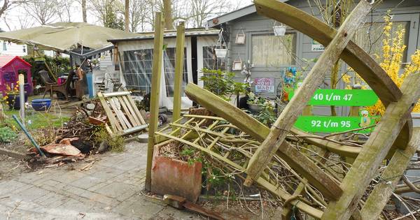 Wéér incident met arbeidsmigrant op vakantiepark Cromvoirt; onrust onder recreanten neemt toe - BD.n