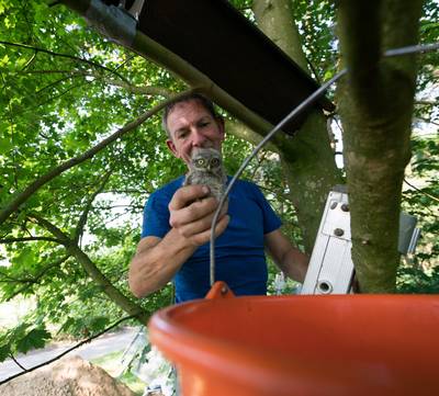 Wie wil bijzonder vrijwilligerswerk doen bij Stichting Hofvogels?