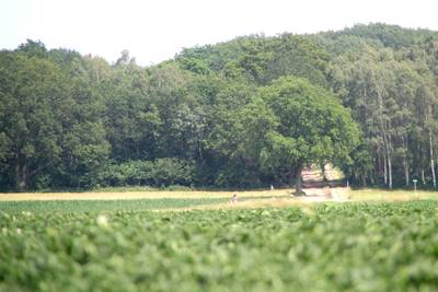 Grimmige sfeer en bedreigingen vanwege plan voor gsm-mast op Needse Berg