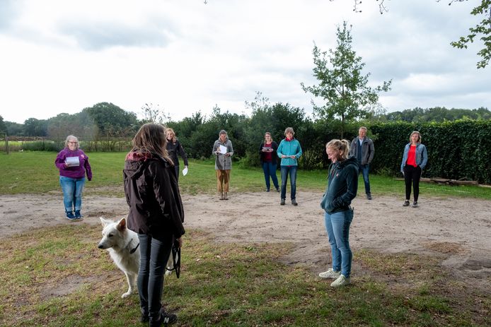 De observatie-opdracht: studenten leren de hond 'lezen'.