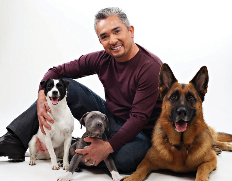 Cesar Millan Amsterdammers Neem Je Hond Gerust Mee Als Je Fietst Het Parool
