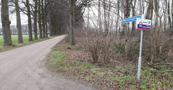 Politie-onderzoek naar doelbewust inrijden op vrouw (60) in buitengebied
