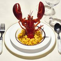 Comfortfood meets fine dining: ontdek dé culinaire trend van het najaar met deze recepten