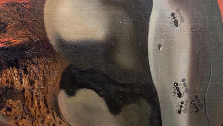 Dali's schilderijen roepen zo'n fijn Barbapappa-gevoel op | De Volkskrant