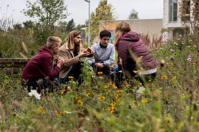 Groenschool Aeres in Velp krijgt een groen plein waar leerlingen hun energie kwijt kunnen