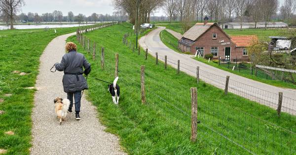 Tuimeldijk biedt gouden kans voor fiets- en wandelpaden - BD.nl
