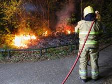 Twintig vierkante meter bos in brand in Oss