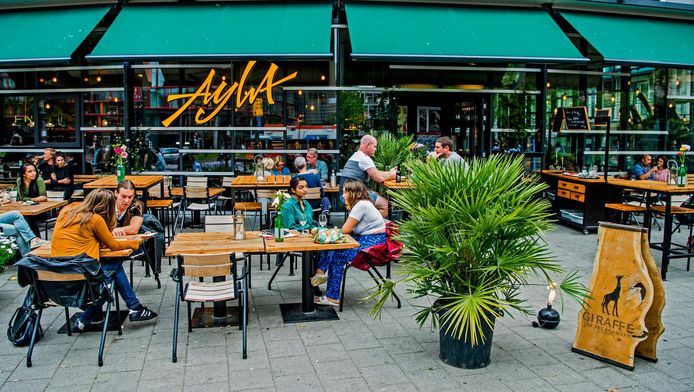 Ayla Is Gewoon Heerlijk Rotterdams Rotterdam Ad Nl
