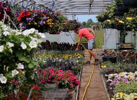 Let híerop als je plantjes koopt bij een tuincentrum