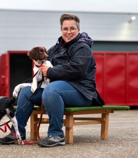 Coronapuppies bezorgen hondenscholen handen vol werk: ‘Het lijkt wel alsof iedereen een pup wil hebben’