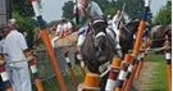 Druk weekend voor ringrijders | Walcheren - PZC