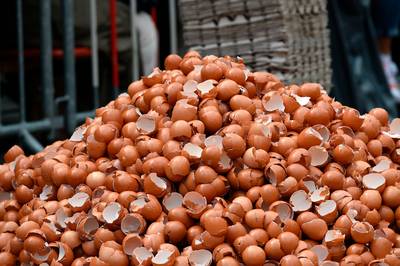 Nieuwe fipronileieren afkomstig van kippen uit geblokkeerd bedrijf
