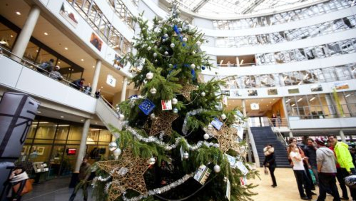 Plasterk Mengt Zich In Kerstboomkwestie Het Parool