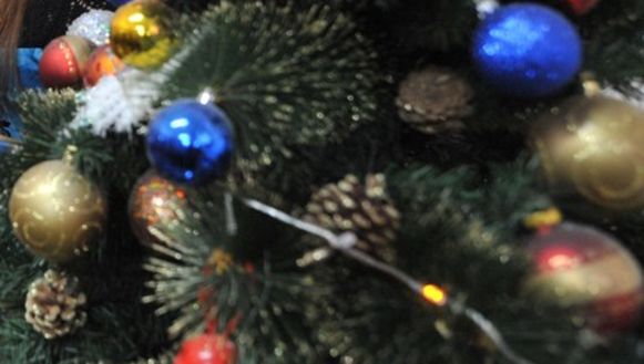 Nederlanders Halen Kerstboom Al Rond Jaarwisseling Weg Buitenland Nieuws Hln